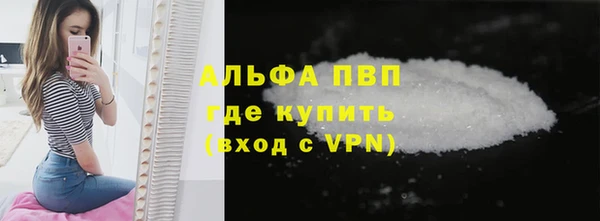 индика Беслан