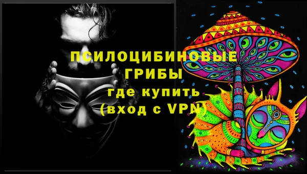 индика Беслан