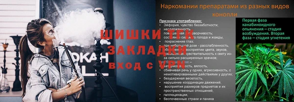 ГАЛЛЮЦИНОГЕННЫЕ ГРИБЫ Михайловск